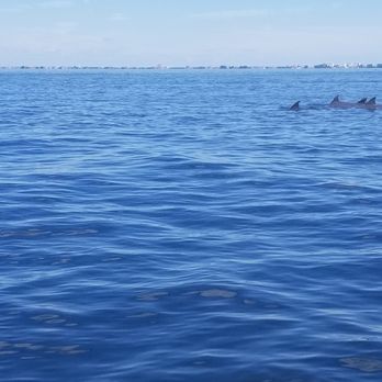 Seaclusions - Boating Near Me - Riverview, Florida Seaclusions - Boating Near Me - Riverview, Florida