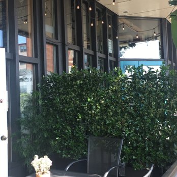 Babygreens - Nurseries & Gardening Near Me - Bellingham, Washington