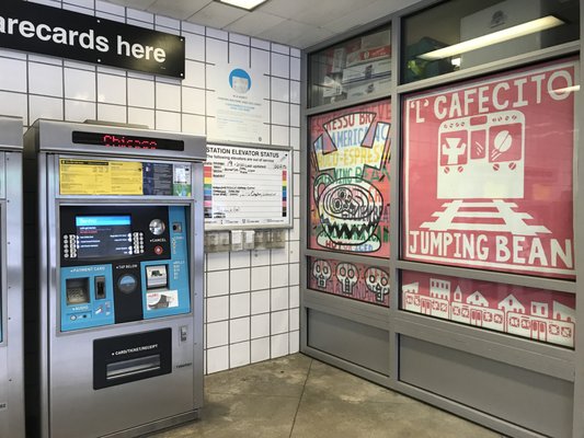 'L' Cafecito Jumping Bean by null