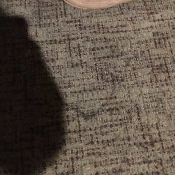 Best Western Plus Dixon Davis - Stained carpet photo 3. - Hotels Near Me - Dixon, California
