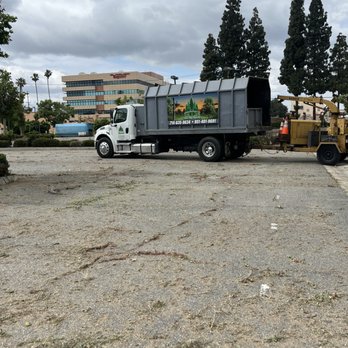 Gio’s tree service - Oc register tree removals - Tree Services Near Me Gio’s tree service - Oc register tree removals - Tree Services Near Me