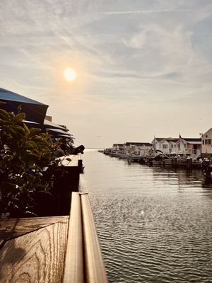 BLU Crabhouse & Raw Bar by null