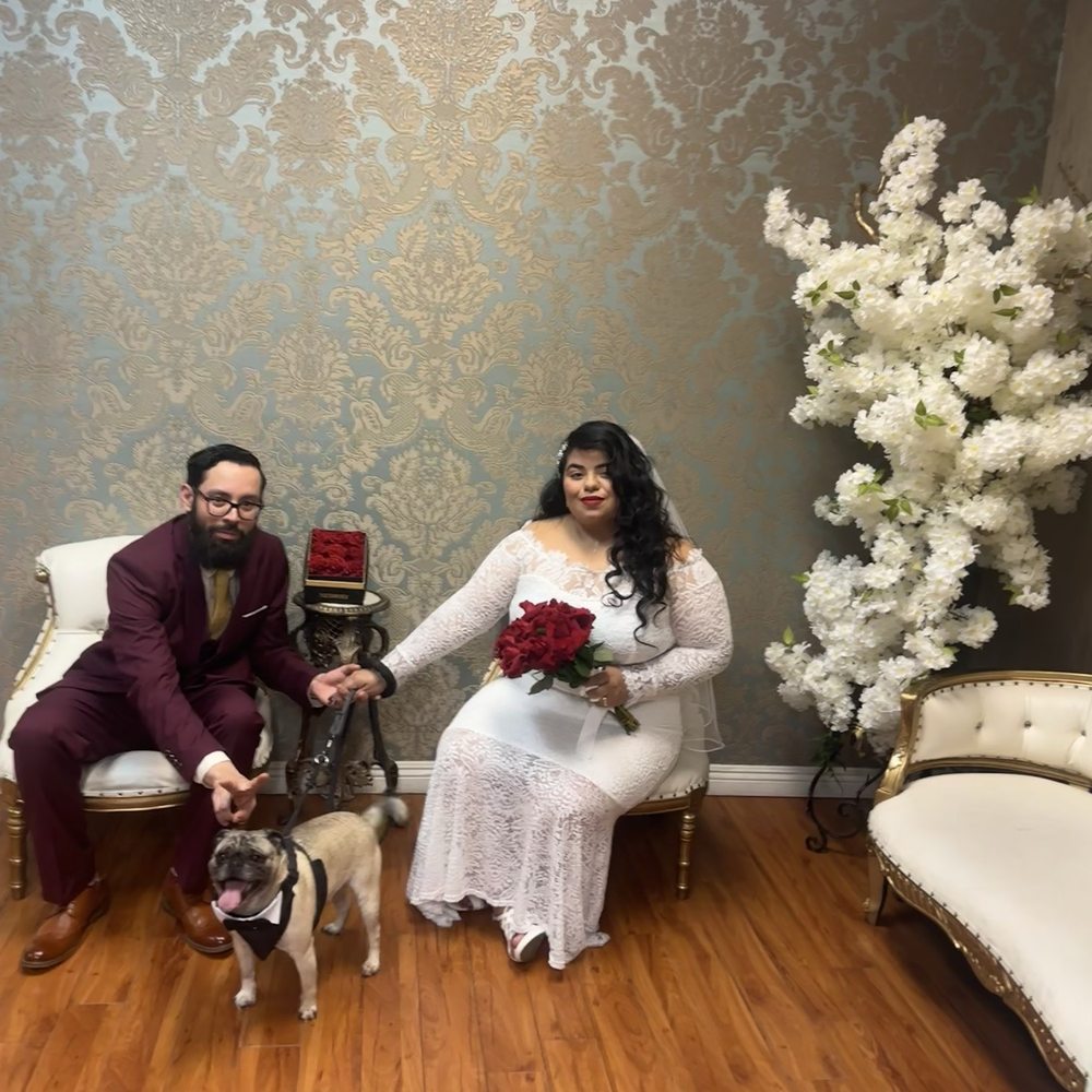 Same Day Marriage - Officiants Near Me - Los Angeles, California Same Day Marriage - Officiants Near Me - Los Angeles, California