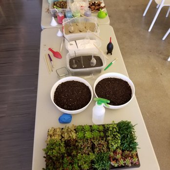 Succulent Social Hour - Fun With Plants! - Team Building Activities Near Me Succulent Social Hour - Fun With Plants! - Team Building Activities Near Me