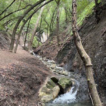Nojoqui Falls County Park - Parks Near Me - Solvang, California Nojoqui Falls County Park - Parks Near Me - Solvang, California
