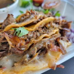 El Bandido Suelto - Up close and personal