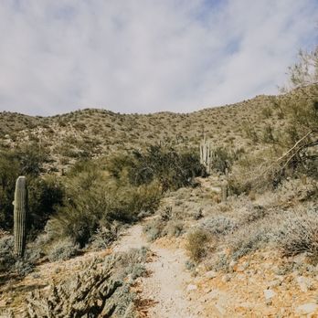 Lost Dog Wash Trail - Hiking Near Me - Scottsdale, Arizona Lost Dog Wash Trail - Hiking Near Me - Scottsdale, Arizona