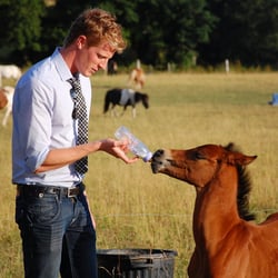 Magic Poney