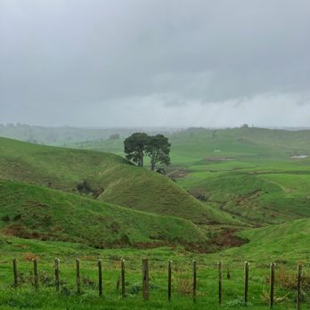 Hobbiton - Driving to Hobbiton. - Tours Near Me - Matamata, WKO Hobbiton - Driving to Hobbiton. - Tours Near Me - Matamata, WKO