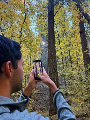 Santa Catalina Natural Area by null