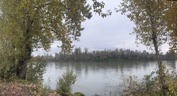 The Independence Hotel