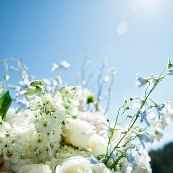 Tesoro - Florists Near Me - Napa, California