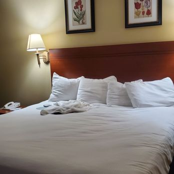 Wingate by Wyndham Mount Vernon - The bed is comfortable and clean. Very important after a long days travel - Hotels Near Me - Mount Vernon, Washington Wingate by Wyndham Mount Vernon - The bed is comfortable and clean. Very important after a long days travel - Hotels Near Me - Mount Vernon, Washington