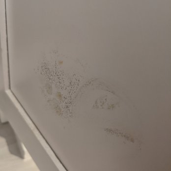 Gulf Coast Building Services - Mold growing on the  other door of the cabinet - General Contractors Near Me - Richmond, Texas