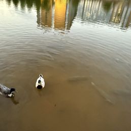 PACO’S TACOS & TEQUILA - Updated February 2026 - 46 Photos & 49 Reviews