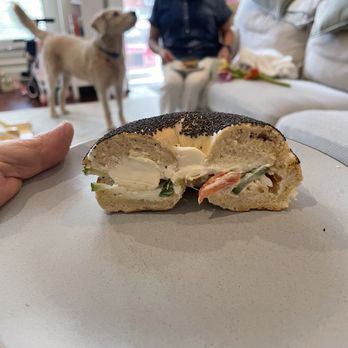 Sam's Bagels - Fresh bagel, fresh fixings. So many poppy seeds! - Bagels Near Me - Baltimore, Maryland Sam's Bagels - Fresh bagel, fresh fixings. So many poppy seeds! - Bagels Near Me - Baltimore, Maryland