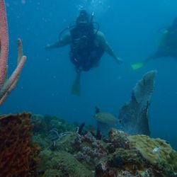 Great Escape - Scuba diving