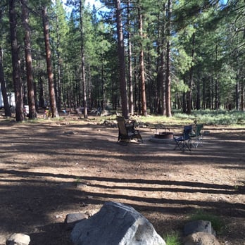 Logger Campground - One of our favorite campgrounds! - Campgrounds Near Me Logger Campground - One of our favorite campgrounds! - Campgrounds Near Me