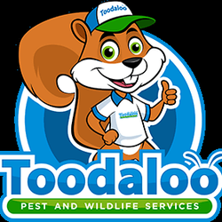 Toodaloo Pest & Wildlife - Toodaloo Pest Control
