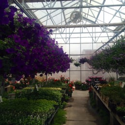 Extensive selection of healthy, beautiful annuals, perennials vegetables and tropicals Extensive selection of healthy, beautiful annuals, perennials vegetables and tropicals