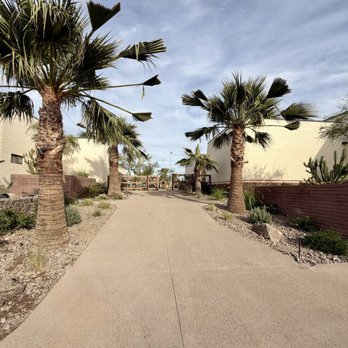 Grass Clippings - Out front. - Golf Near Me - Tempe, Arizona