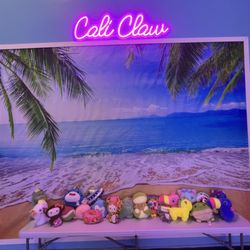 Cali Claw Arcade - Spent $90 tons of fun and gave thaws to lots of happy kids!