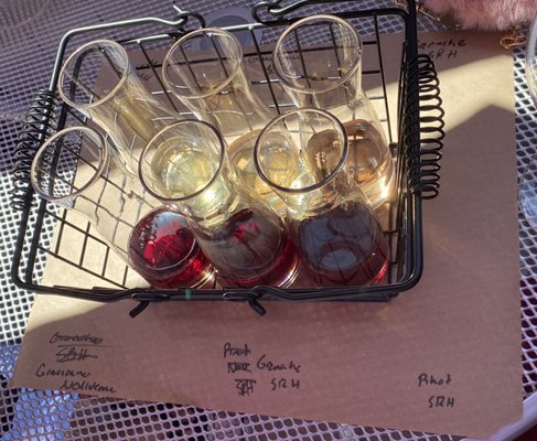 Clementine Carter Wines by null
