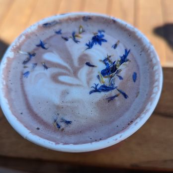 1 Oz Coffee - Ube latte - Caterers Near Me - Santa Clara, California 1 Oz Coffee - Ube latte - Caterers Near Me - Santa Clara, California