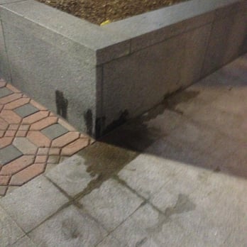 220 Twentieth Street - Daily dog urination RIGHT outside the main building entrance. Asked management to do something/put up signs. They did nothing. - Apartments Near Me - Arlington, Virginia 220 Twentieth Street - Daily dog urination RIGHT outside the main building entrance. Asked management to do something/put up signs. They did nothing. - Apartments Near Me - Arlington, Virginia