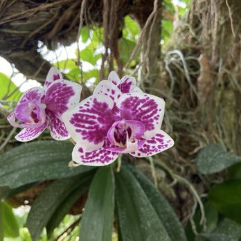 City Park - Parks Near Me - New Orleans, Louisiana City Park - Parks Near Me - New Orleans, Louisiana