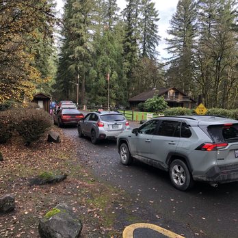 Lewisville Regional Park - Boooo... faulty parking pass machines causing entrance woes. - Parks Near Me - Battle Ground, Washington Lewisville Regional Park - Boooo... faulty parking pass machines causing entrance woes. - Parks Near Me - Battle Ground, Washington
