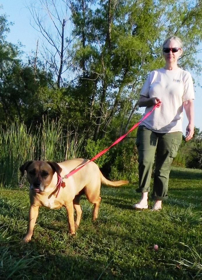 PEARLAND PET RESORT Updated September 2024 2815 Cr 58, Manvel