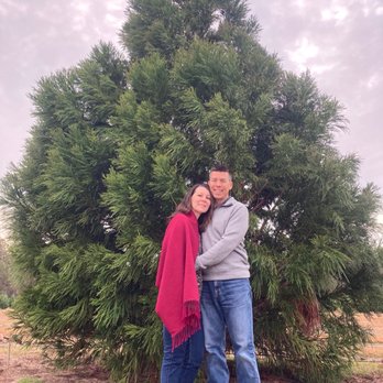 Fish River Trees Christmas Tree Farm - I don't think this tree will fit in our house lol - Christmas Trees Near Me - Silverhill, Alabama