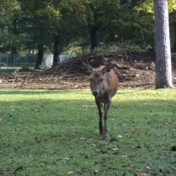 Tierpark Im Stadtpark