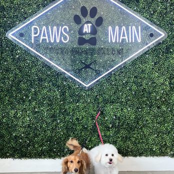 Paws At Main - Bath & Tidy for the pups! - Pet Groomers Near Me - Corona, California