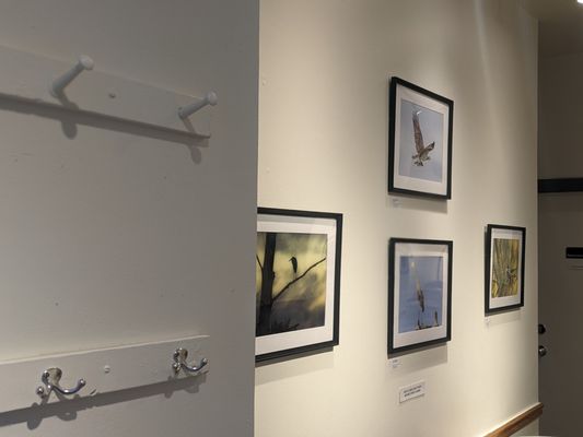 Old City Coffee by null