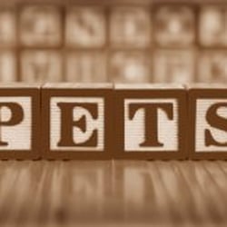 Beattie Pet Hospital - Stoney Creek