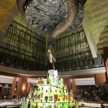 Iberostar Selection Paraíso Maya Suites - Snake bar - Resorts Near Me - Playa del Carmen, ROO Iberostar Selection Paraíso Maya Suites - Snake bar - Resorts Near Me - Playa del Carmen, ROO
