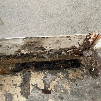 Knowles Inspection Services - Mold, Sheetrock black mold - Home Inspectors Near Me Knowles Inspection Services - Mold, Sheetrock black mold - Home Inspectors Near Me