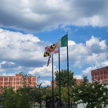 Guinness Open Gate Brewery - Flags near where you walk in - Breweries Near Me - Halethorpe, Maryland