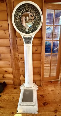 The Ground Round by null