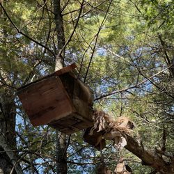 Browning Mill Pond Trail - His birdhouse