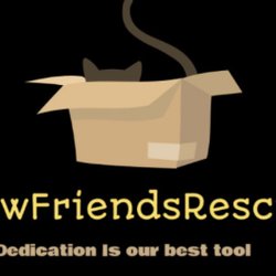 New Friends Rescue