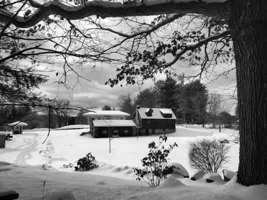 Benson Park by null
