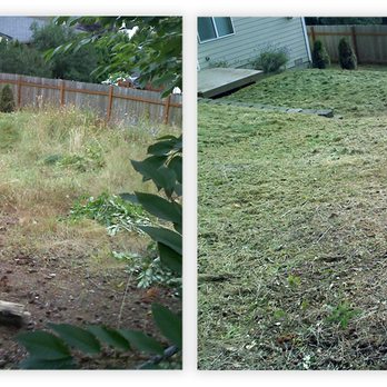 SnoCo Lawn Care - Vacant home property cleanup with weeds and waste-high grass. Now ready for seed, sod or new landscape design. - Landscaping Near Me - Everett, Washington SnoCo Lawn Care - Vacant home property cleanup with weeds and waste-high grass. Now ready for seed, sod or new landscape design. - Landscaping Near Me - Everett, Washington