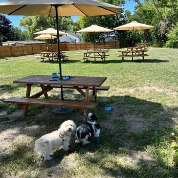 Seneca Stag Brewing - Outdoor seating, pets welcome! - Brewpubs Near Me - Penn Yan, New York