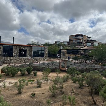 Baja Rides and Tours - Salvia Blanca - Wine Tours Near Me Baja Rides and Tours - Salvia Blanca - Wine Tours Near Me