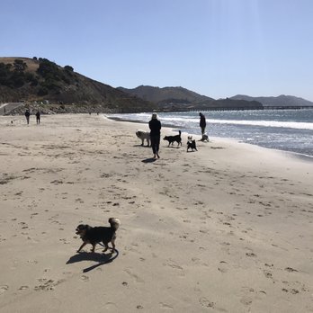 Fisherman's Beach - Dog Beach - Beaches Near Me - Avila Beach, California Fisherman's Beach - Dog Beach - Beaches Near Me - Avila Beach, California