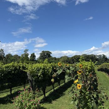 Del Vino Vineyards - Wine Tasting Room Near Me - Northport, New York Del Vino Vineyards - Wine Tasting Room Near Me - Northport, New York