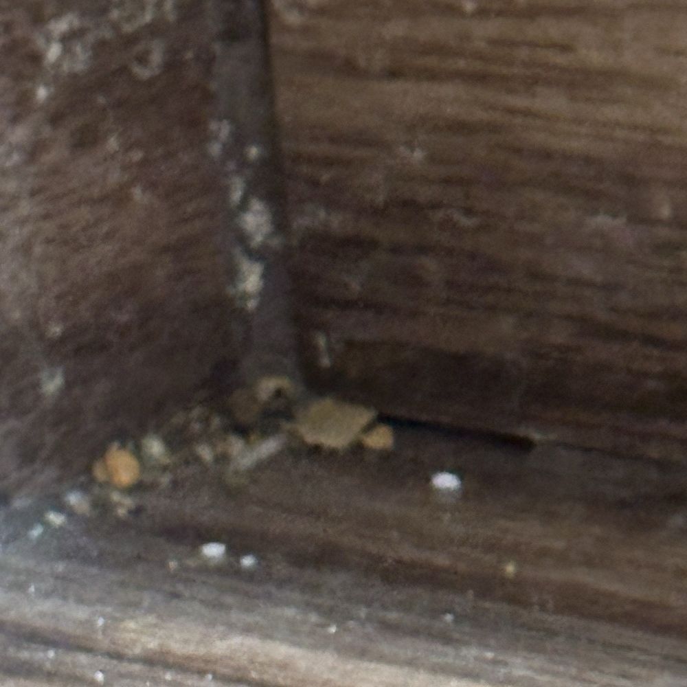 Socal Cleaner - Moved dirt to the corner and left it - Home Cleaning Near Me Socal Cleaner - Moved dirt to the corner and left it - Home Cleaning Near Me